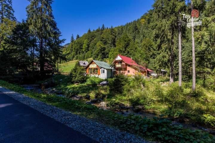 Cabana Valea Stanciului Rachitele Exterior foto