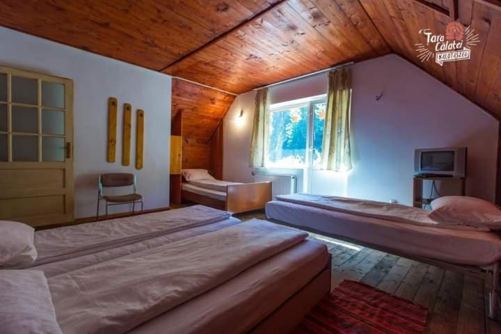 Cabana Valea Stanciului Rachitele Exterior foto