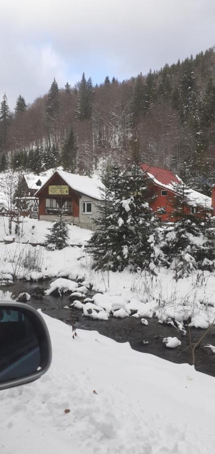 Cabana Valea Stanciului Rachitele Exterior foto