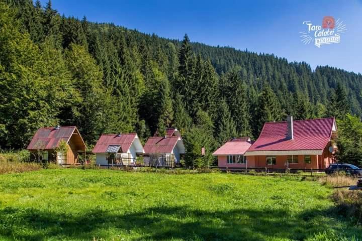 Cabana Valea Stanciului Rachitele Exterior foto