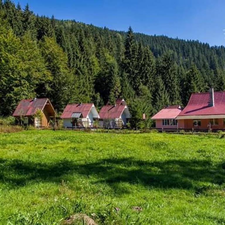 Cabana Valea Stanciului Rachitele Exterior foto