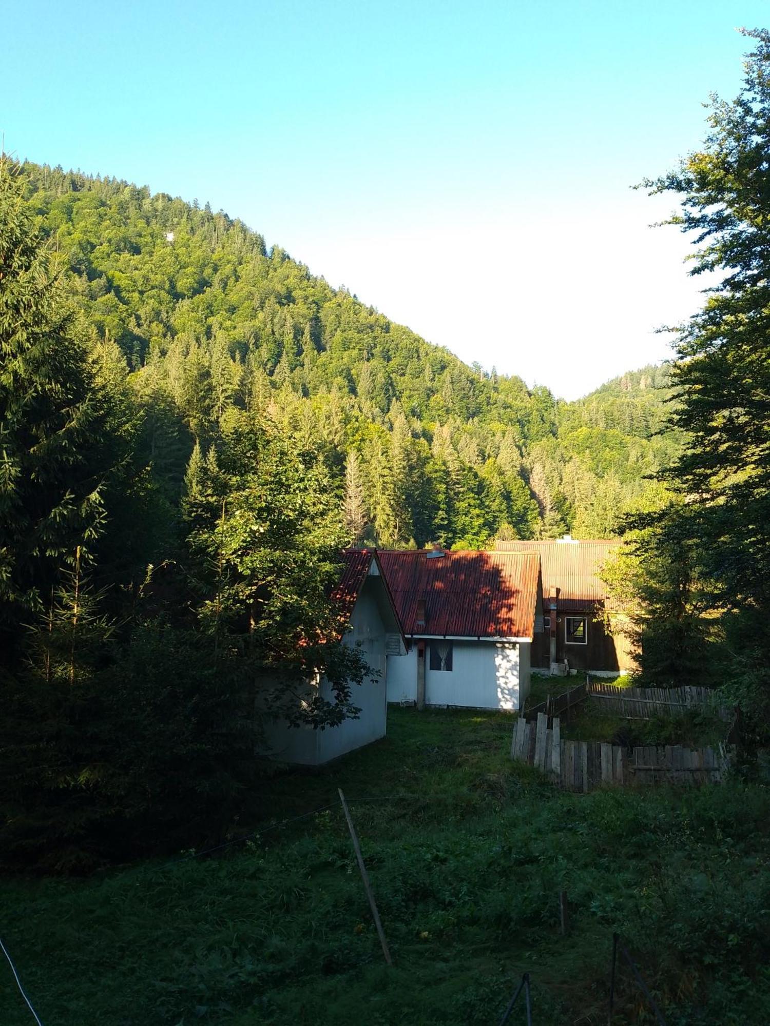 Cabana Valea Stanciului Rachitele Exterior foto